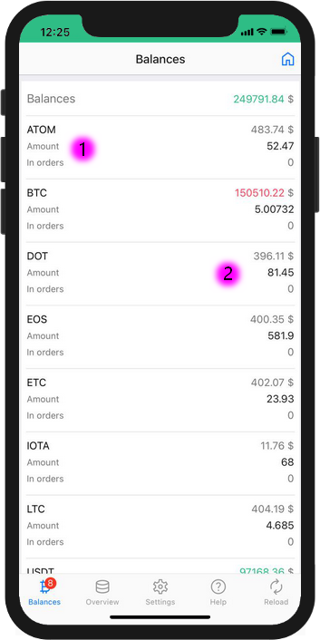 Trading Terminal: Balances